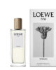 loewe fragancias mujer