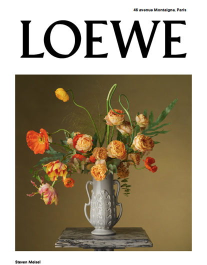 loewe primavera moda
