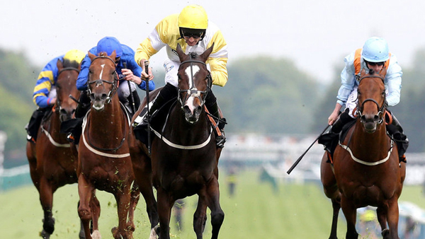 ascot hipodromo carrera