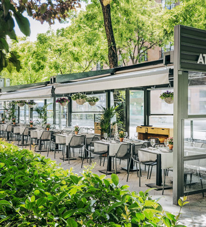 atrapallada restaurante gallego madrid